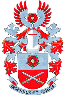 The Arms of Stephan
                                                Urs Breu