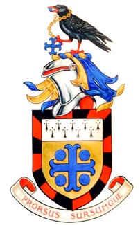 The Arms of John
                                                Michael Berry