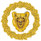 The Badge of Ioannis
                                              Mitsikas