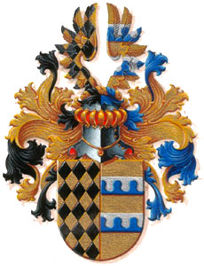 The Arms Of Klaas
                                                Padberg Evenboer